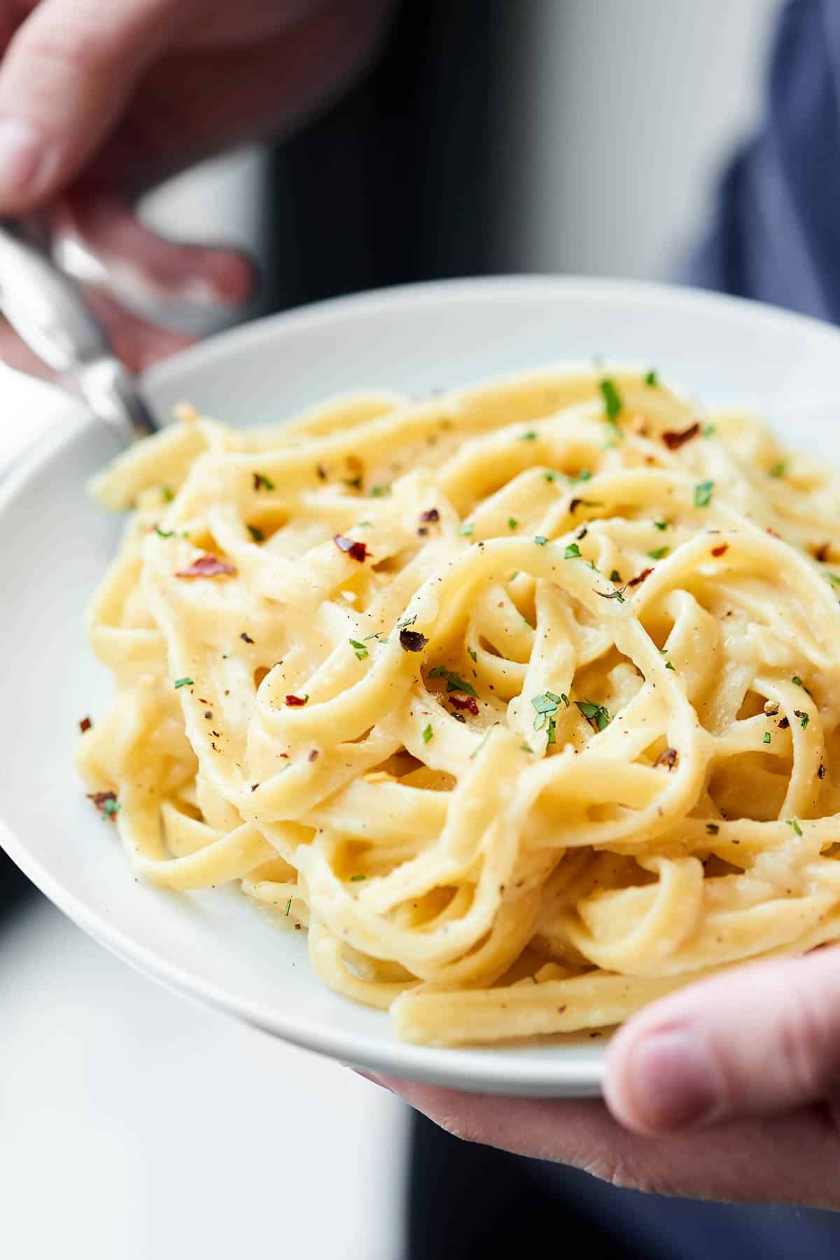 Low Fat Alfredo Sauce Recipe