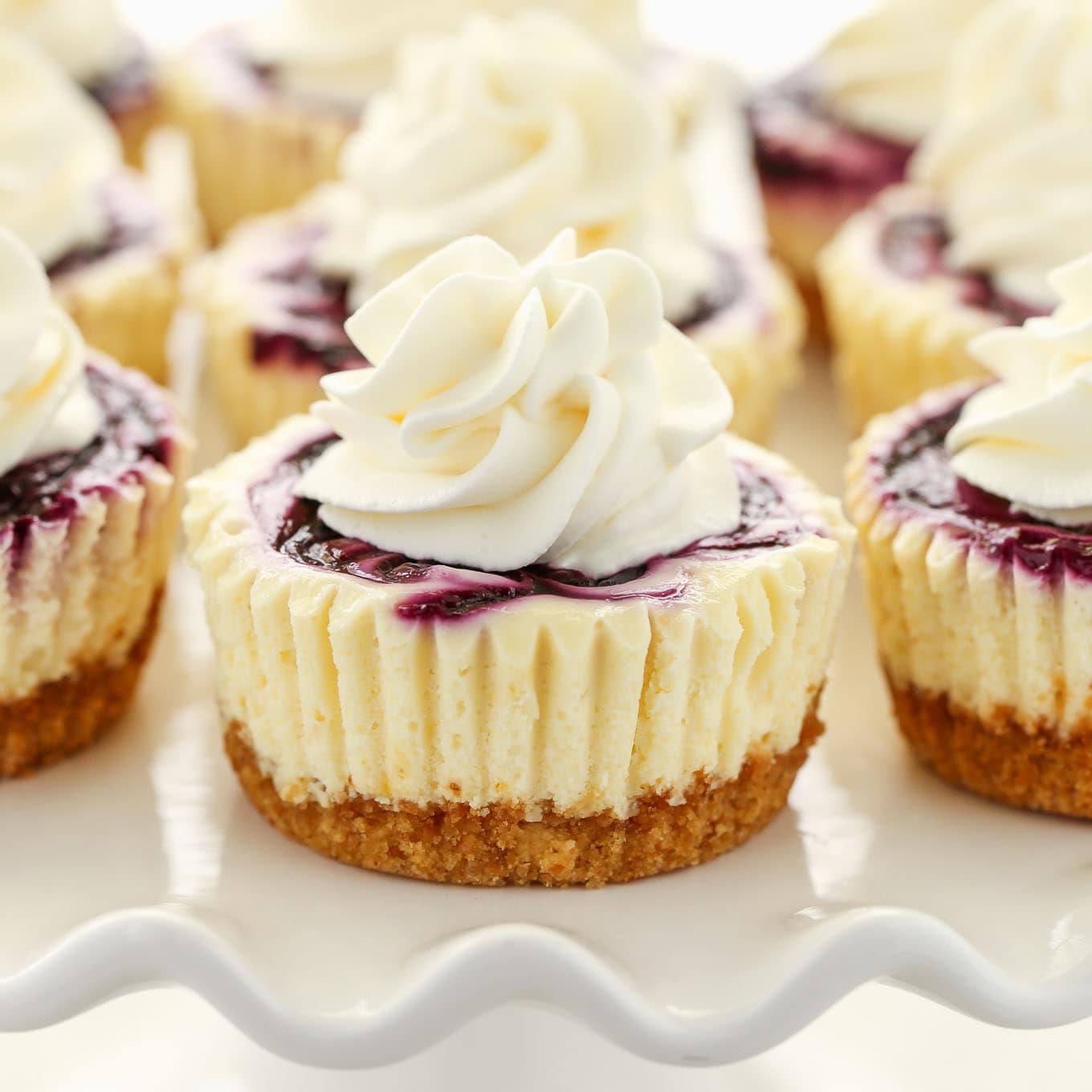 Miniature Lemon Blueberry Cheesecakes